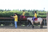 La Scuola di Equitazione